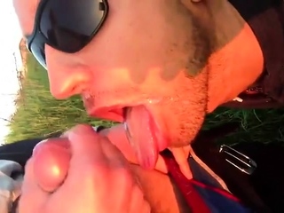 Executivo e bezerro no parque