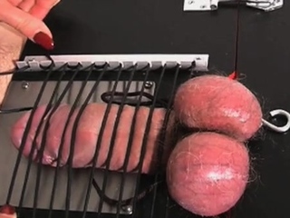 Shaft in magnificent magnificence ‘s honey pot