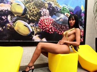 Large ass latina ts wanking massive cock