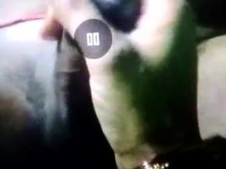 My Desi indian Wife Handal huge cock