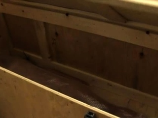 Hot feet worship Obedient cleaning lady