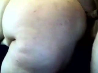 Oinker bonk boink 46