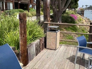 BJRAW Octavia Red is an oral goddess