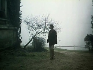 Dirty brunette milf sucks and rides major bazooka in group sex