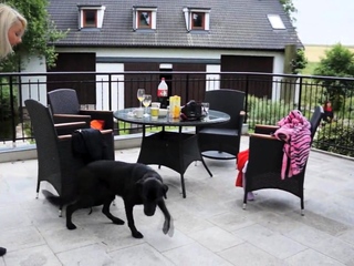 Grace (Pinky June), Bella Babe (Bella Infant), Nika