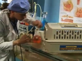 Ftv amateur brunette toying pussy and possessing powerful orgasm