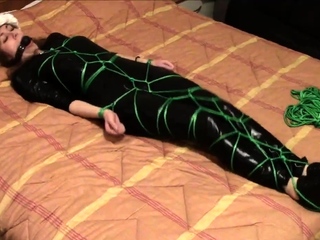 Santa’s small helper.