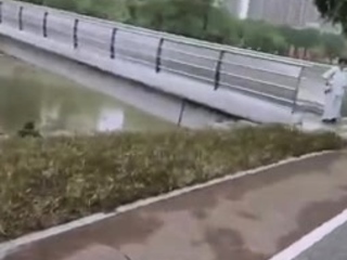 Amateur japanese fucked outdoors