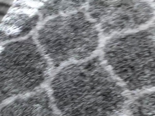 BBW Black and Ebony Hardcore