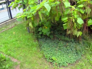 Cheating gal cuckolds her guy and fucks with one particular additional one particular