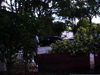 Slutty Skippers Gone Horny and Negative with the Guard