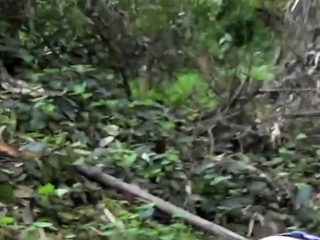 Pals Come across A Quiet Park To Lick and Finger