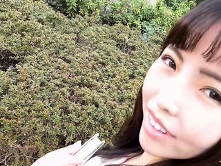 We have a treat for our members and this is a Cat Cafe