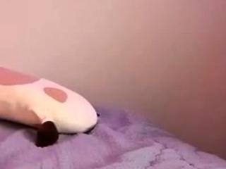 Cams Newbie Chubby Japanese Teen Solo Webcam