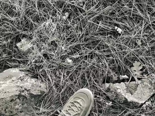 Footballer homosexual boy jerks off his small prick