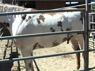 Teen will get her snatch fingered and fucked by outdated chap