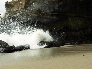 Large ass babe exposes her huge boobs