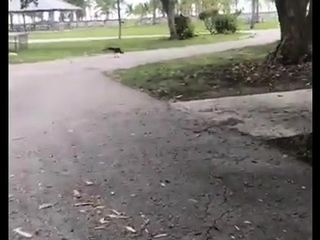 Sizzling newbie outside intercourse on the deck Blow job anal ATM