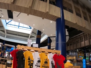 Beginner Thai lady picked up and fucked