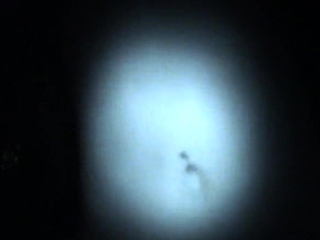 Secret intercourse with attractive teen