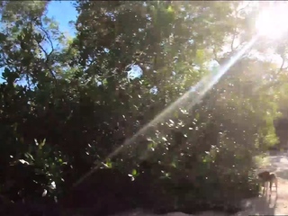 Thai girlfriend intercourse within the Philippines