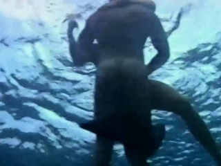 Sharks   Pores and skin