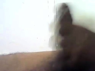 Stunning Indian Telugu Cock