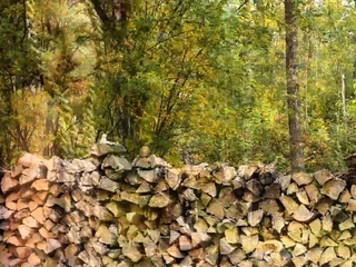 Cute black MILF posing in sizzling lingerie